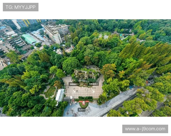 围绕民乐足球公园地址构建周边城市活力生活深度探索指南全景展览